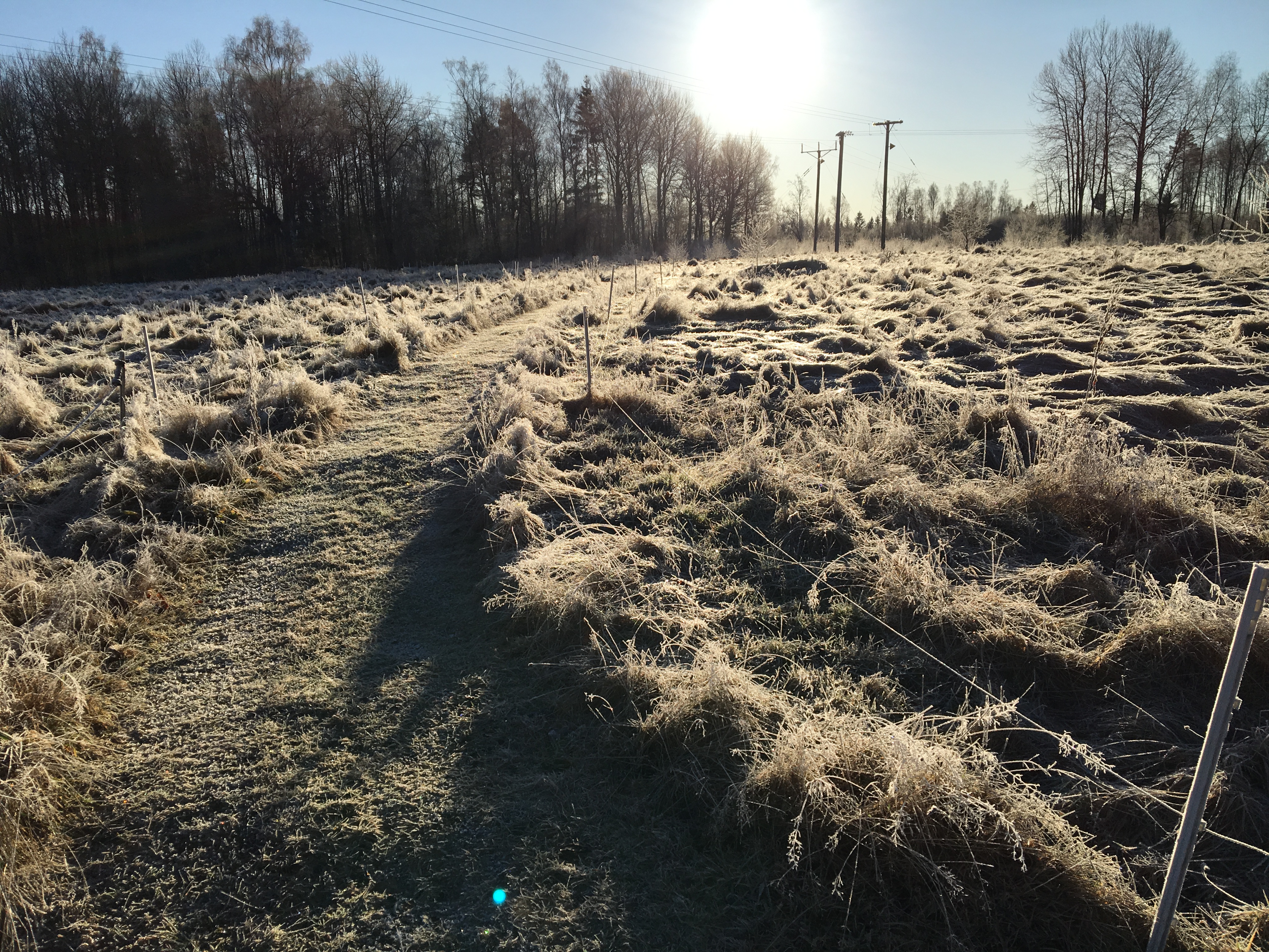 Foto 2018-01-07 11 42 17